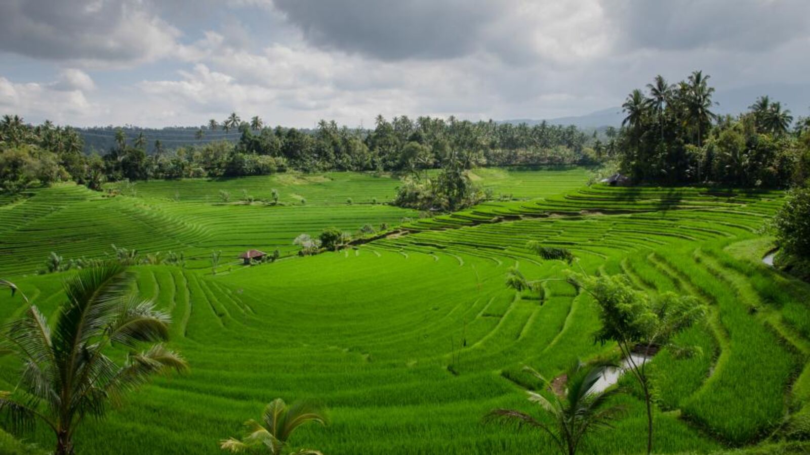 Indonesia Remote Worker Visa E33G: Rules for Bali and Beyond